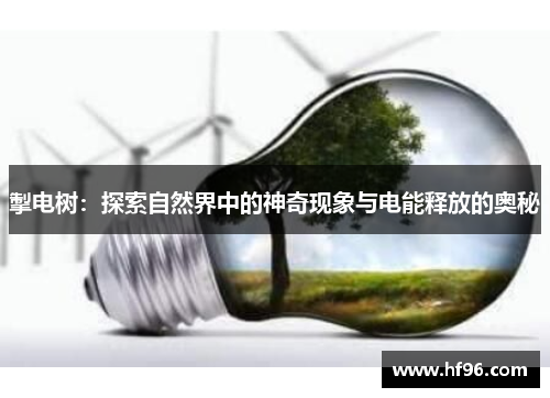 掣电树：探索自然界中的神奇现象与电能释放的奥秘